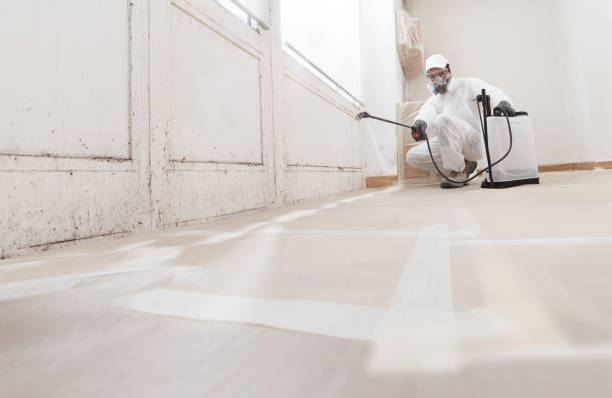 24/7 Emergency Attic Mold Removal experts in Modena, PA
